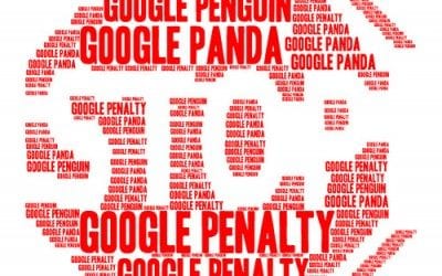 Canonical URLs in Magento – Our Explanation of the Benefits